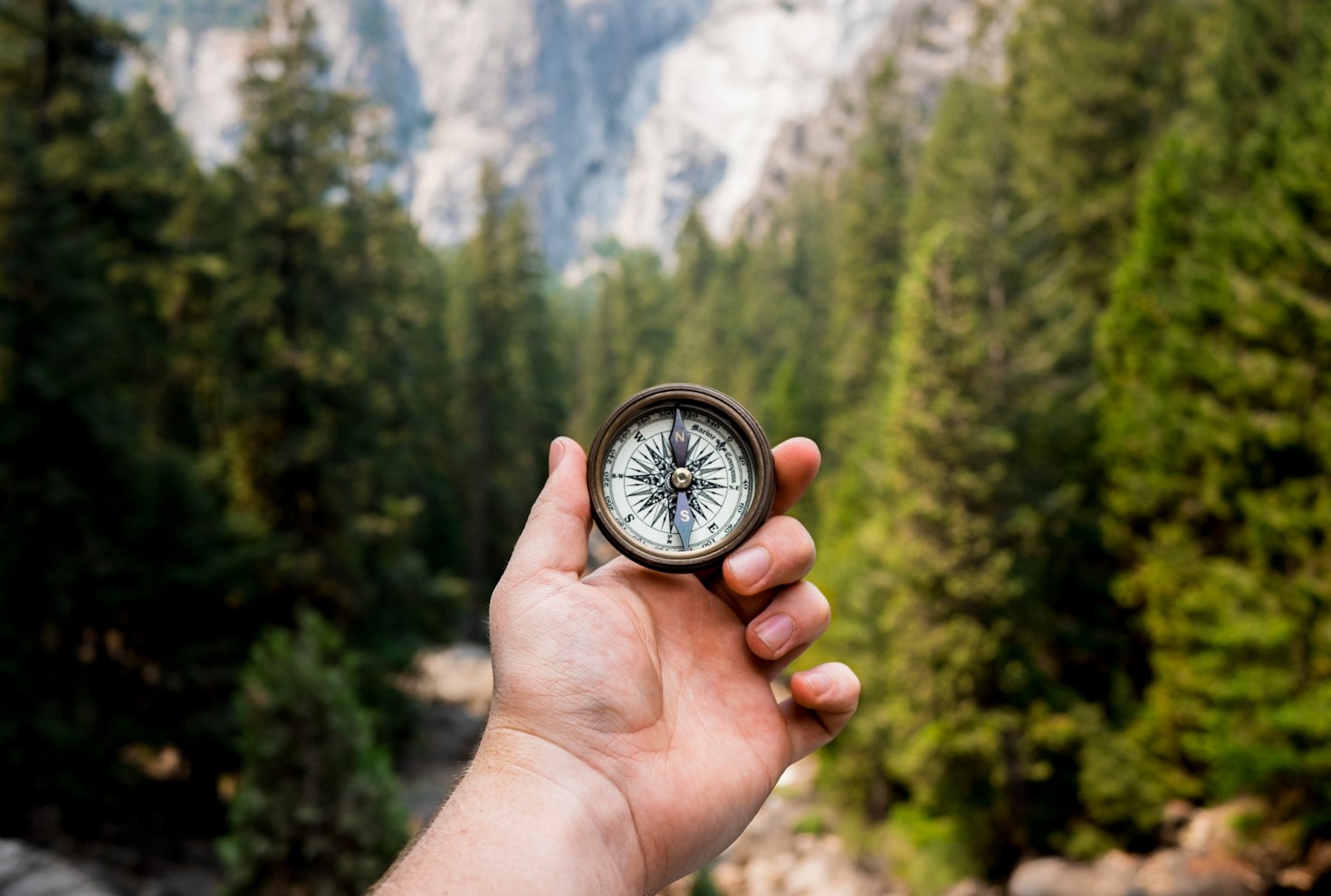 Die Vorteile von Online-Coaching entdecken