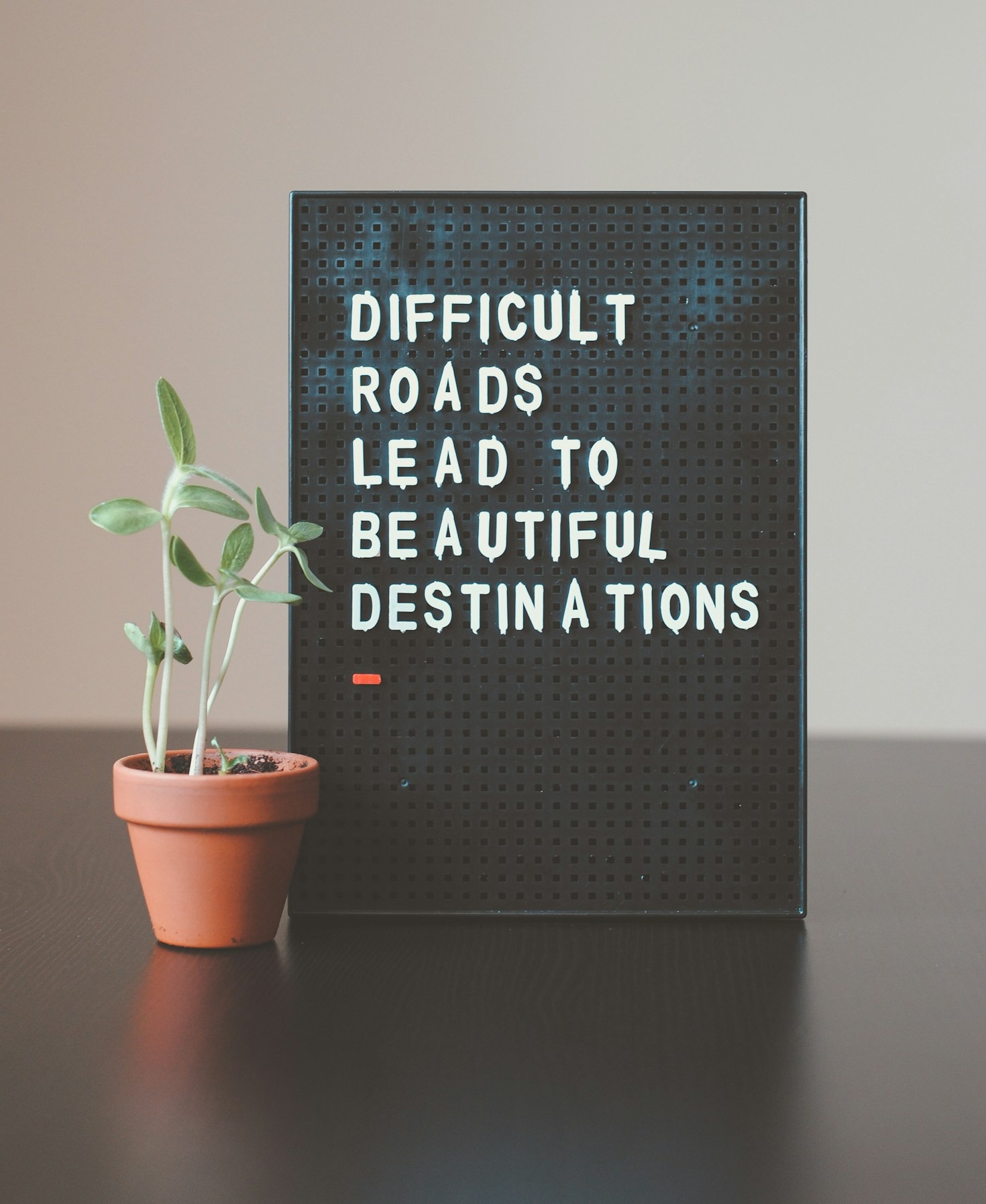 Vor-Ort-Coaching vs. Online-Coaching: Was passt zu Ihnen?