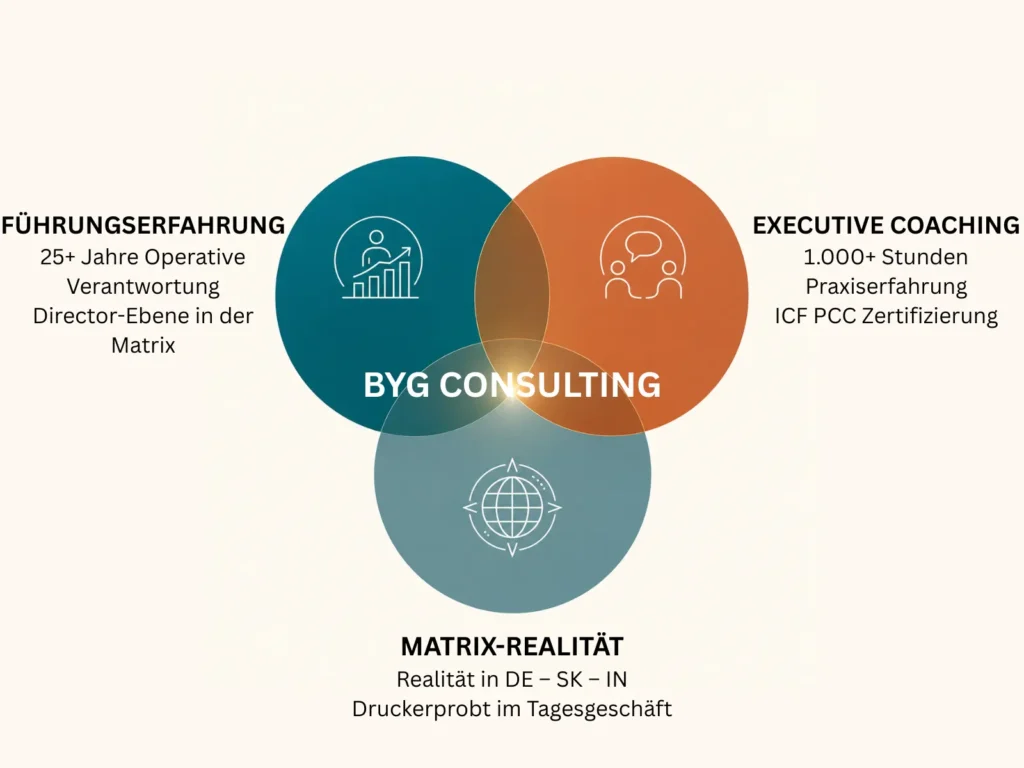 BYG Consulting